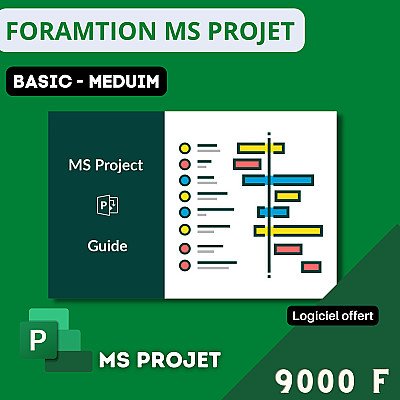 MS PROJET