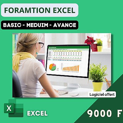 EXCEL