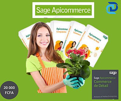 SAGE APICOMMERCE