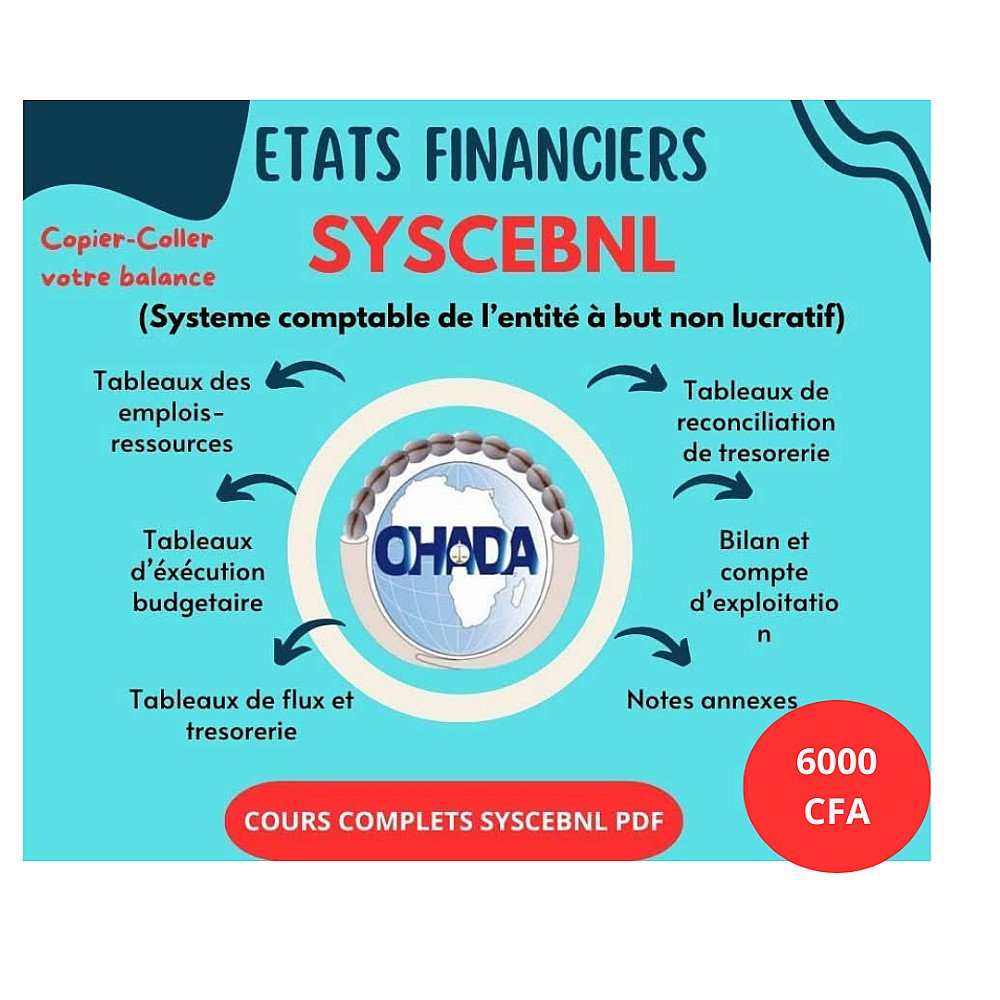 ETATS FINANCIERS SYSCEBNL