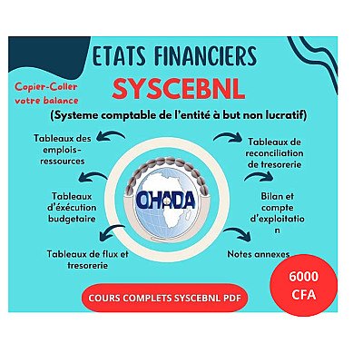 ETATS FINANCIERS SYSCEBNL
